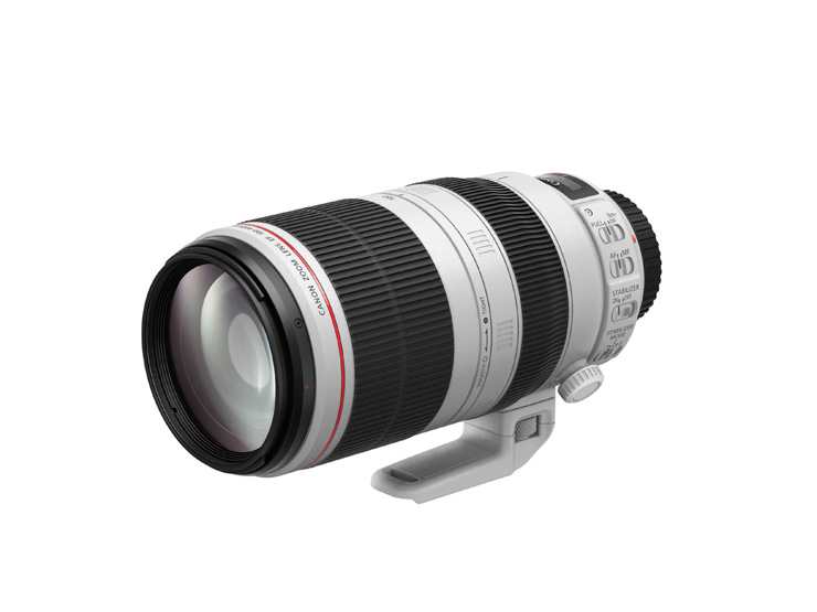 Canon EF L-Serie 100-400mm