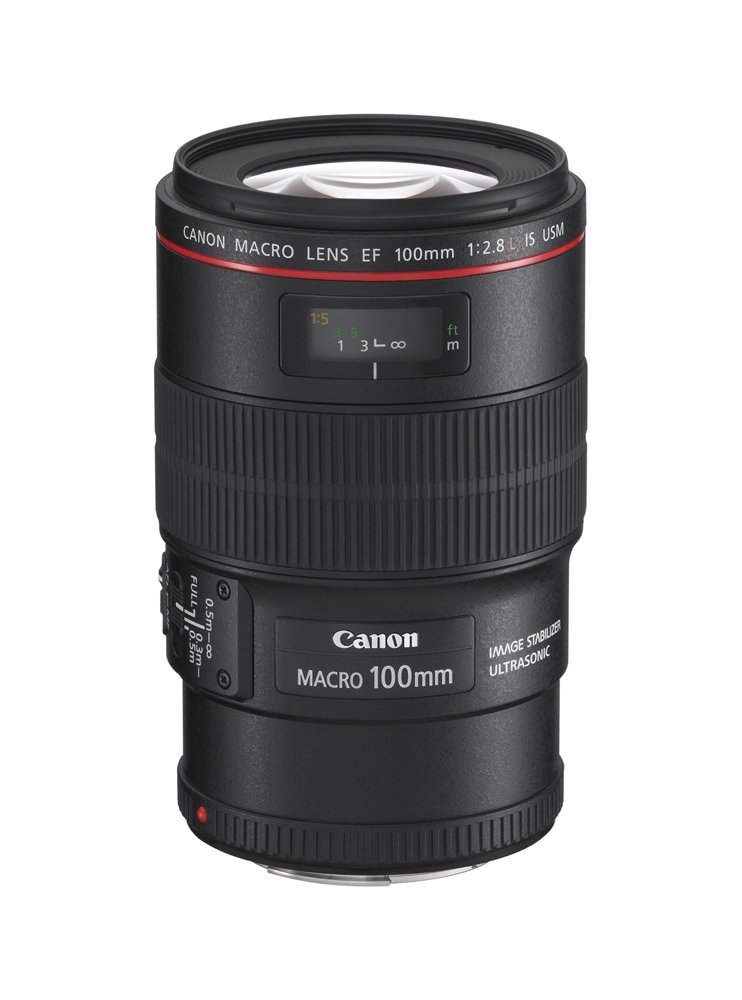Canon EF L-Serie 100mm MAKRO